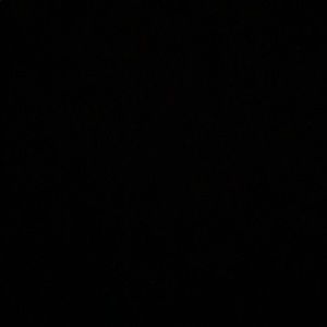 Meet your Posher, Larry